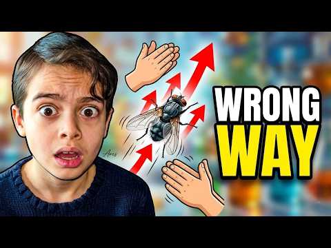 Video thumbnail for You’ve Been Swatting Flies Wrong Your Whole Life